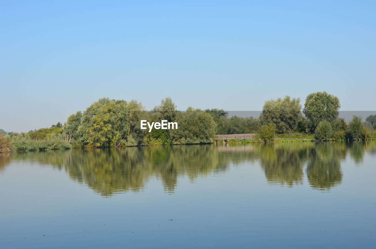 TREES BY LAKE AGAINST CLEAR SKY