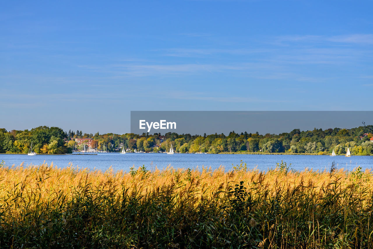 Scenic view of lake against blue sky