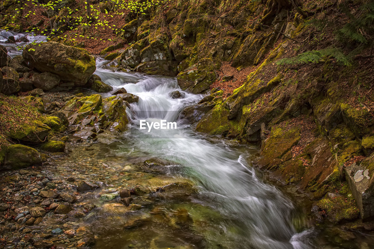 beauty in nature, autumn, water, scenics - nature, rock, nature, stream, waterfall, motion, land, forest, body of water, flowing water, tree, environment, plant, leaf, river, long exposure, no people, watercourse, water feature, flowing, non-urban scene, wilderness, outdoors, creek, landscape, blurred motion, day, moss, idyllic, woodland, tranquility, travel destinations, tranquil scene, wet, rapid, rock formation