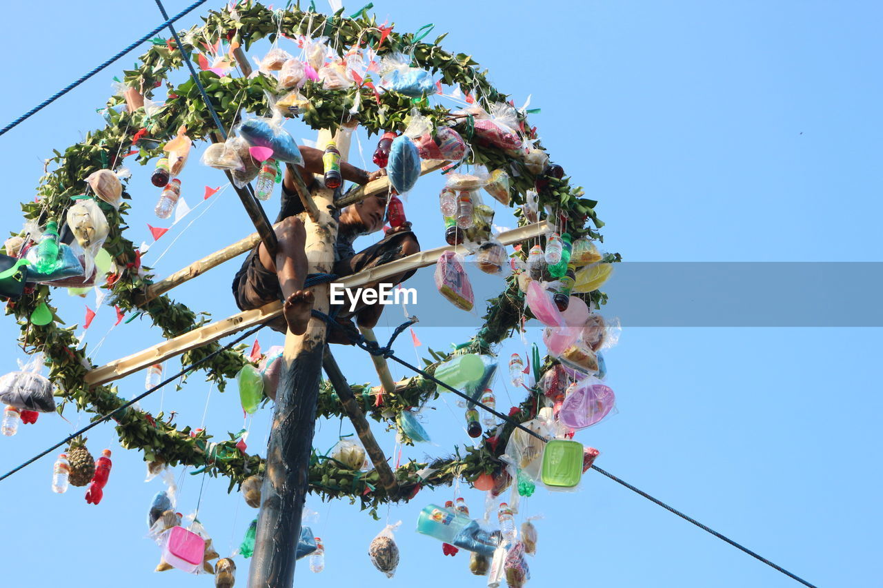 LOW ANGLE VIEW OF FLOWERING PLANTS AGAINST CLEAR SKY