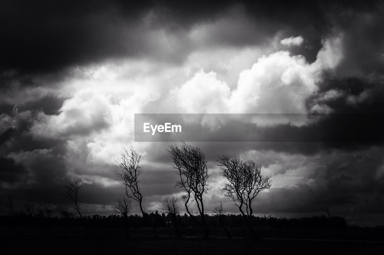 SILHOUETTE OF TREES ON LANDSCAPE AGAINST CLOUDY SKY