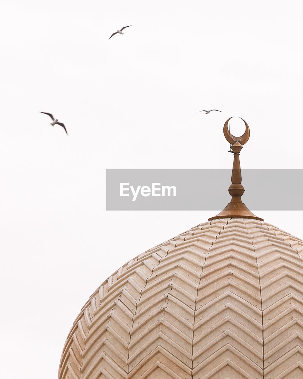 Low angle view of mosque against birds flying in clear sky