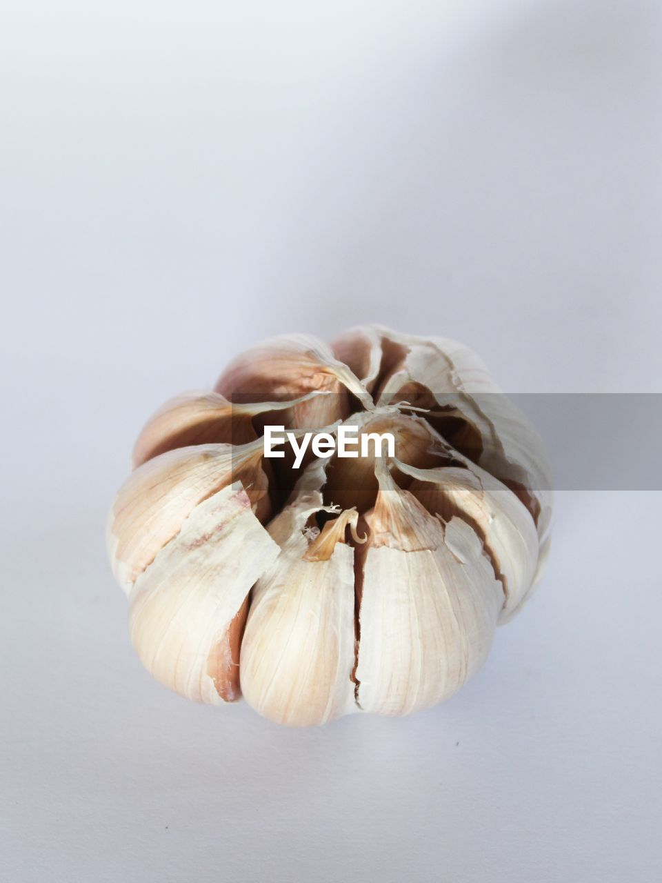 Close-up of garlic on white background