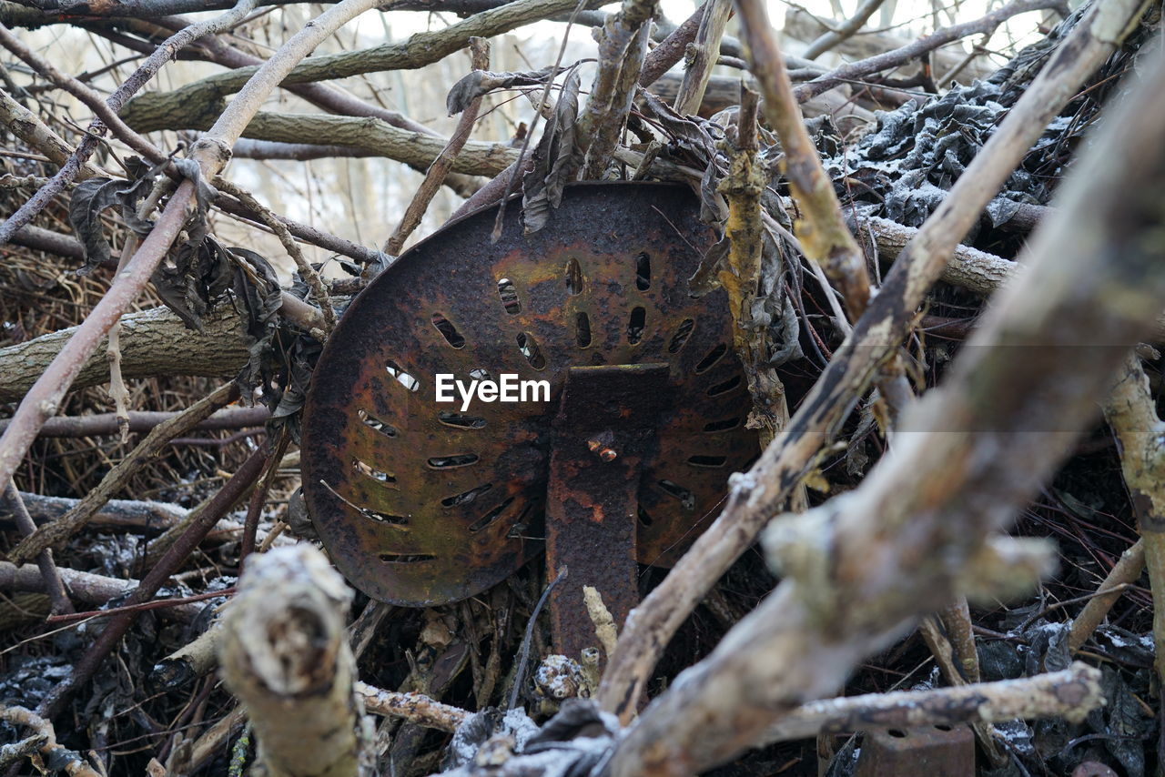 Rusty metal amidst dry plants during winter