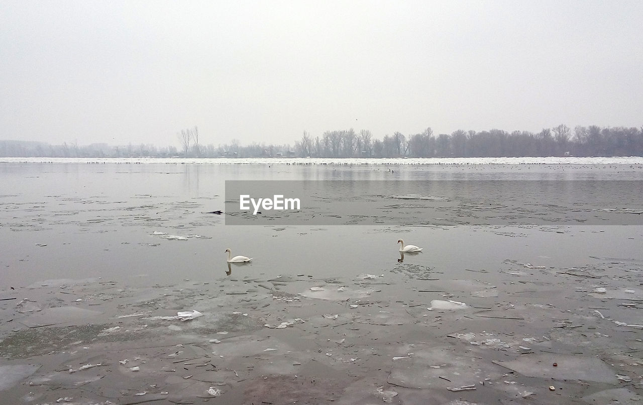 SCENIC VIEW OF SEA AGAINST CLEAR SKY DURING WINTER