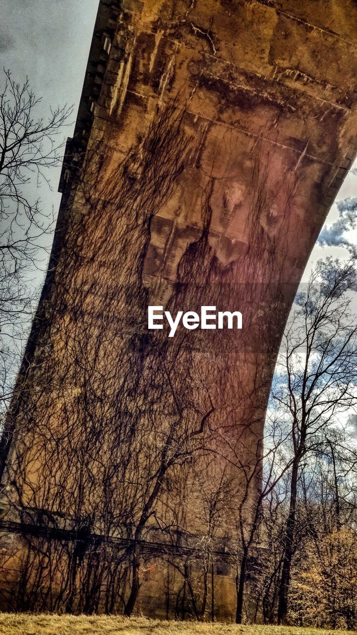 Low angle view of bare trees against sky