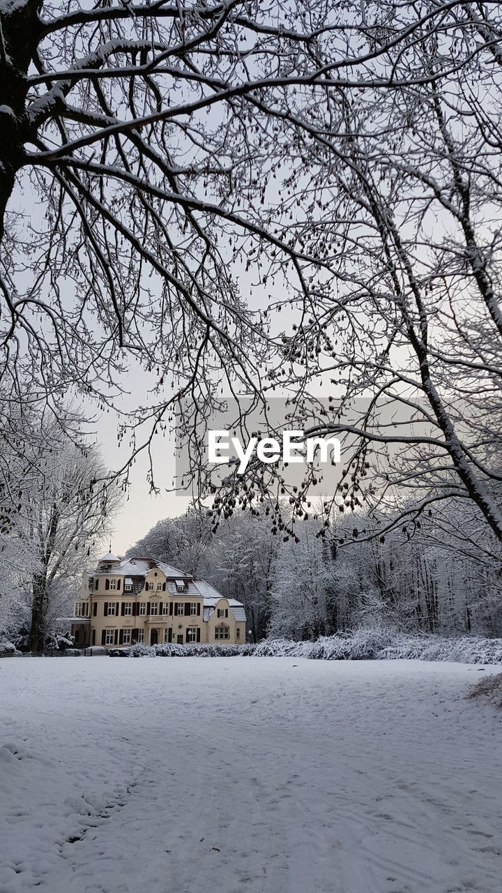 SNOW COVERED HOUSES BY TREES AND BUILDINGS