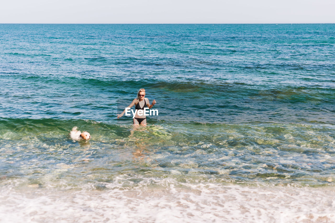 VIEW OF A DOG IN SEA