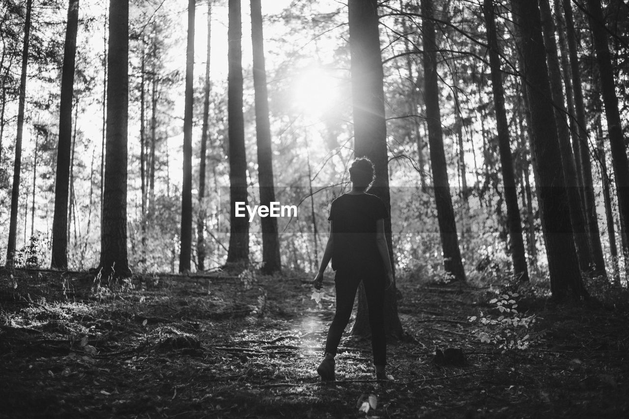 Rear view of woman standing in forest