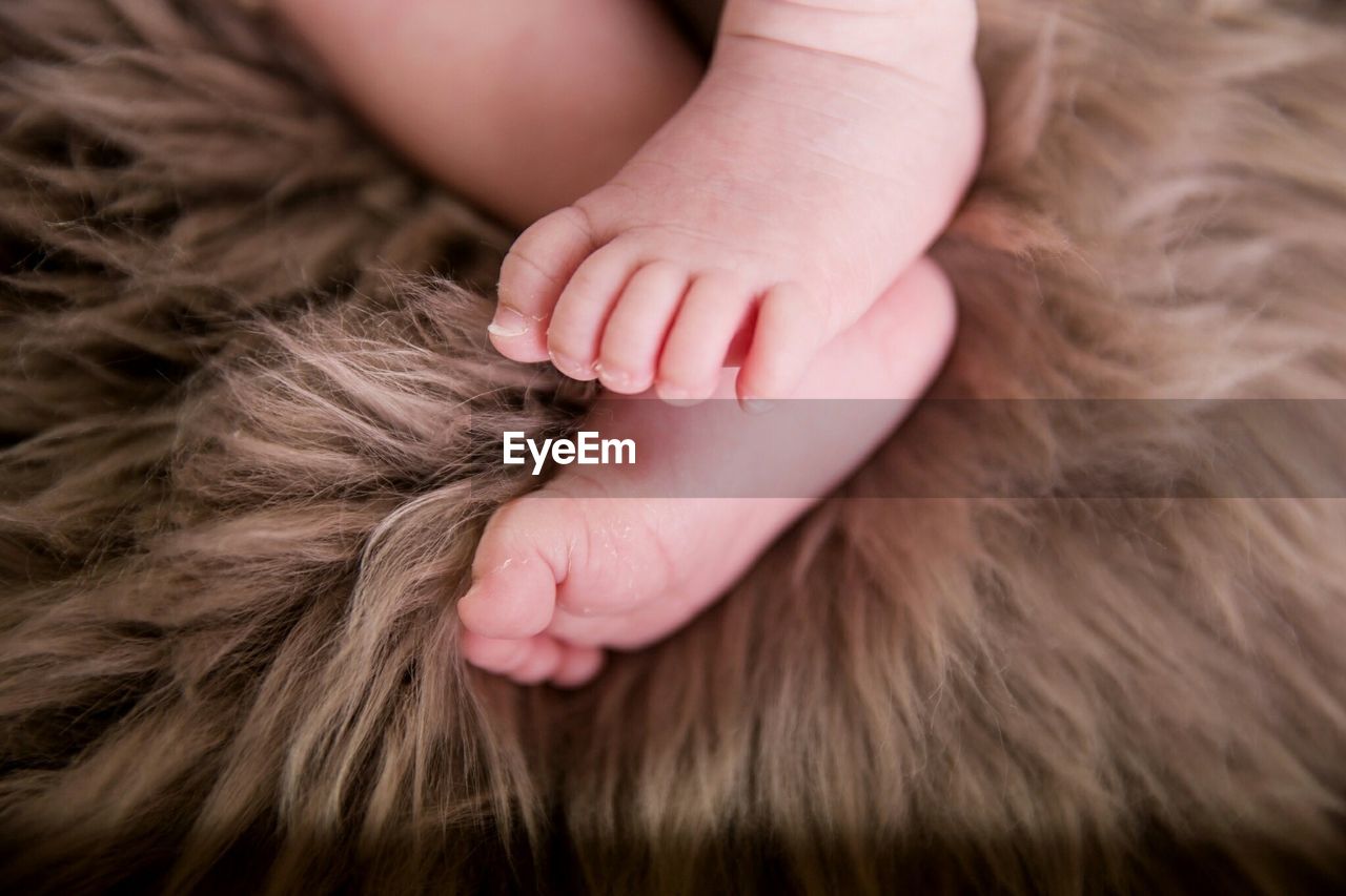 Low section of baby relaxing on fake fur