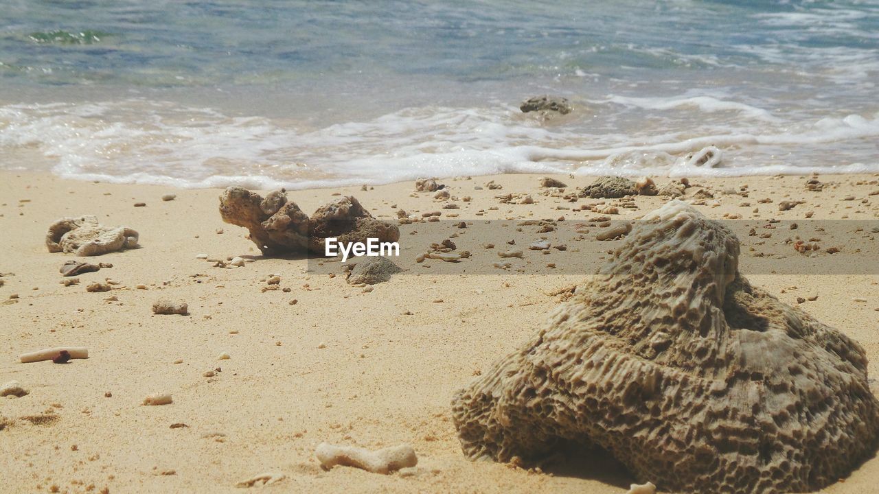 High angle view of shore and sea