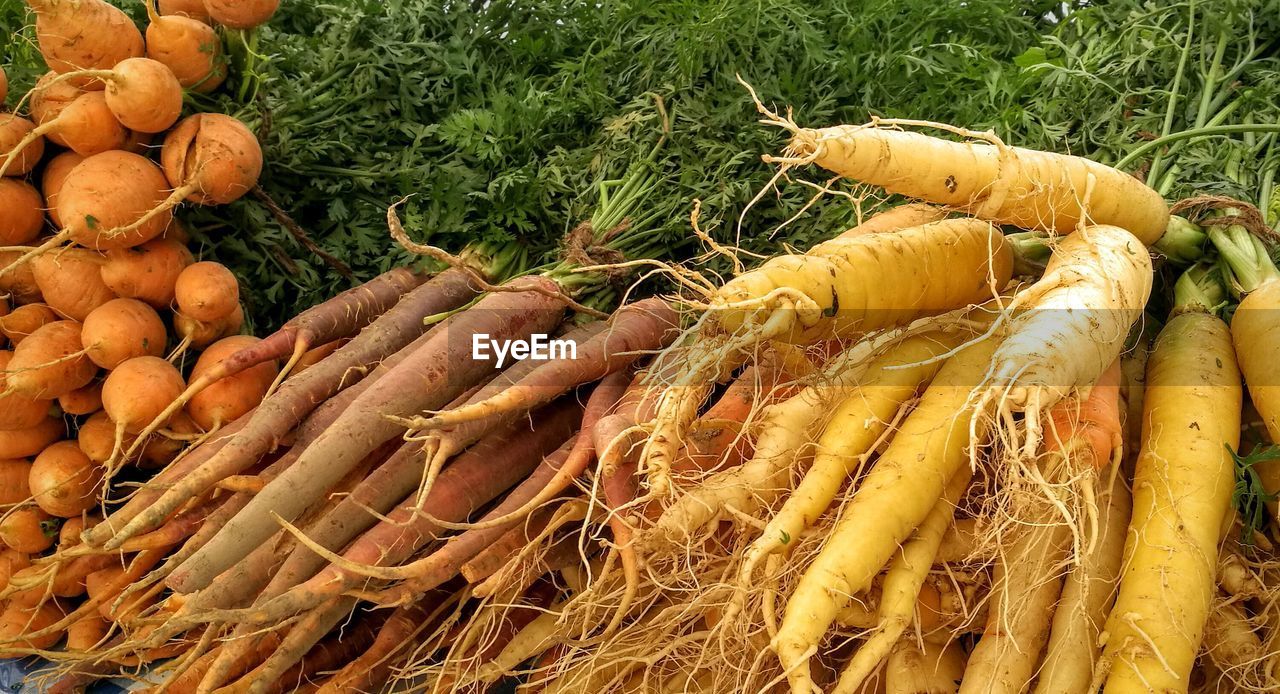 Carrots and radish for sale at market