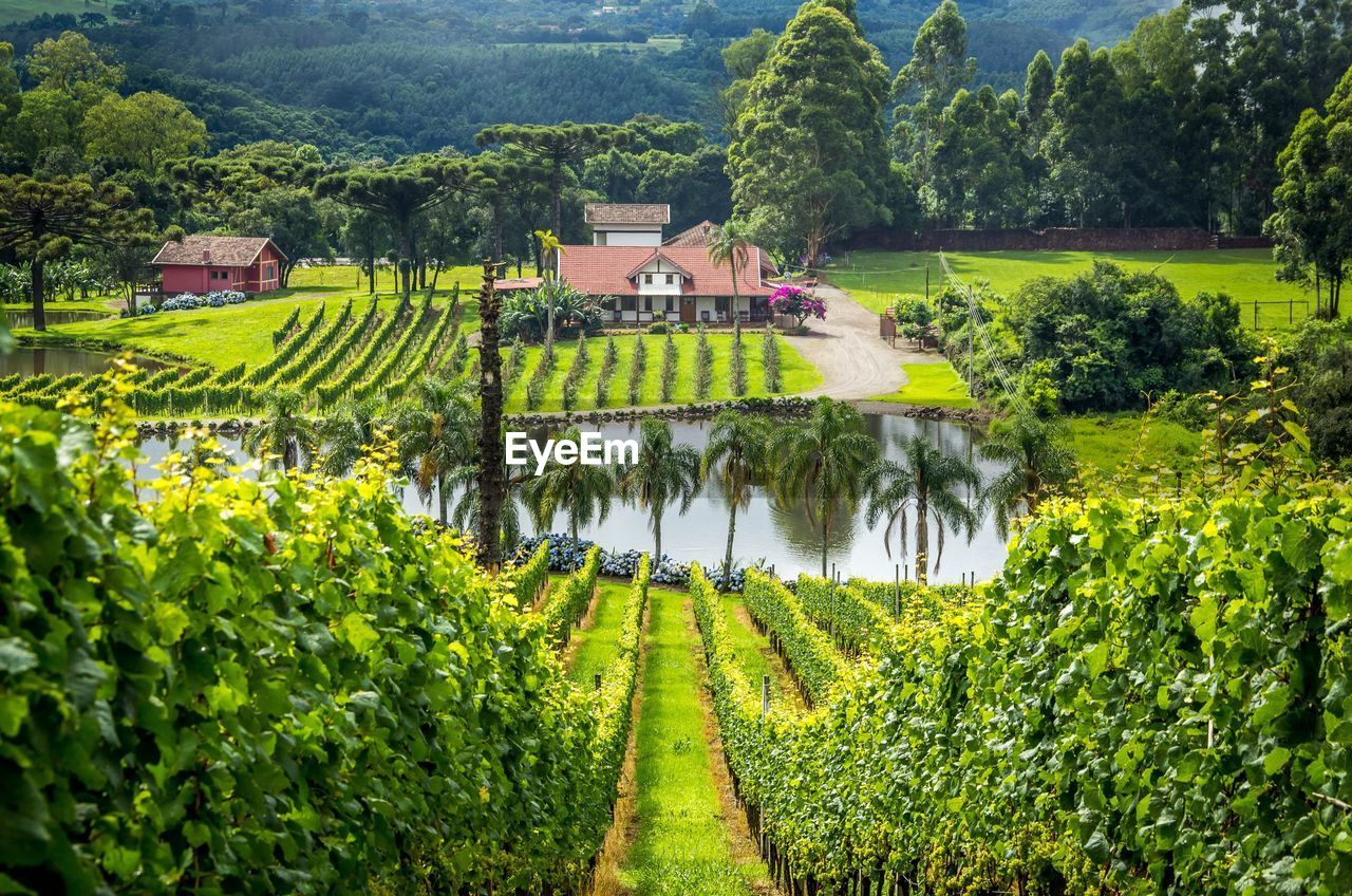 Scenic view of rural landscape with houses in background