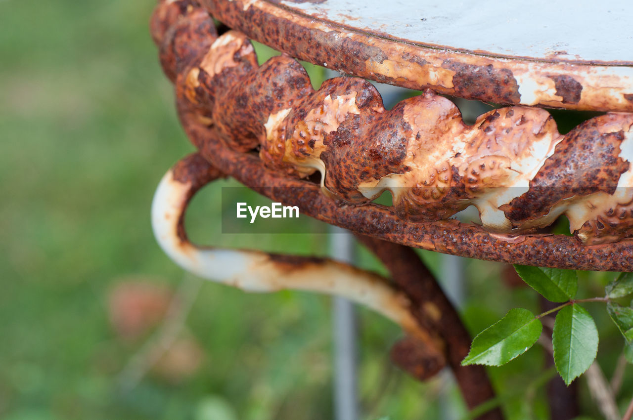 Close-up of rusty metallic table