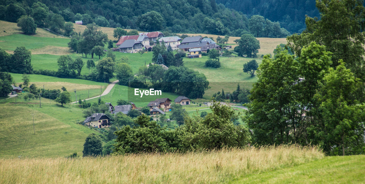 Scenic view of agricultural field by houses and trees