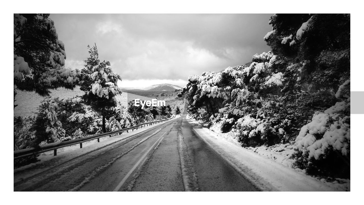 Street amidst trees against sky during winter