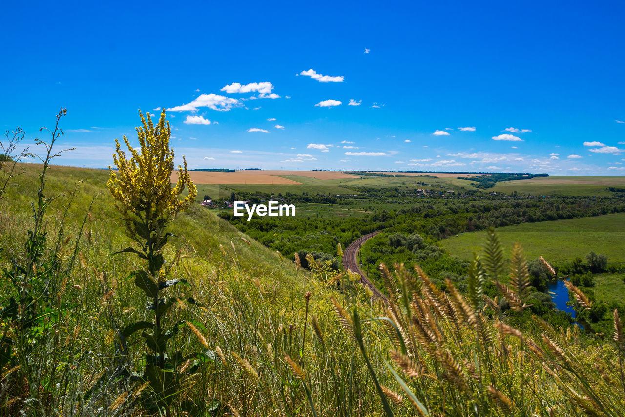 Scenic view of field against cloudy sky