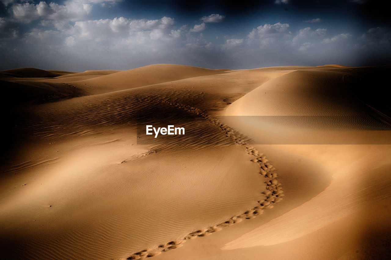 SAND DUNES IN DESERT