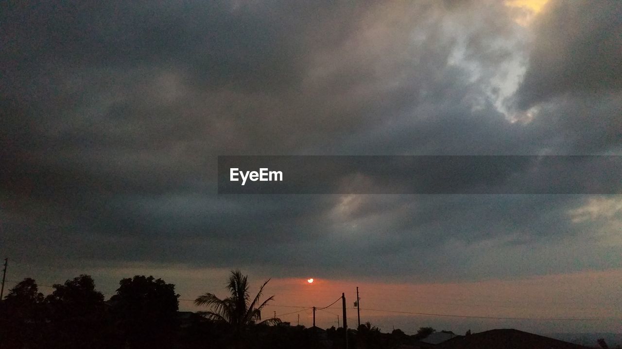 LOW ANGLE VIEW OF SKY AND TREES AGAINST CLOUDY DAY