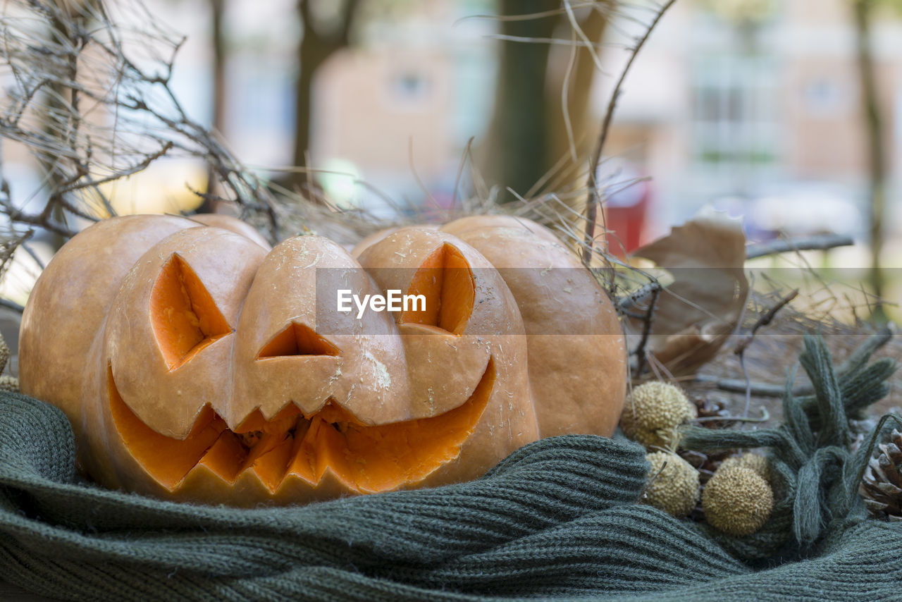 Close-up of pumpkin pumpkins