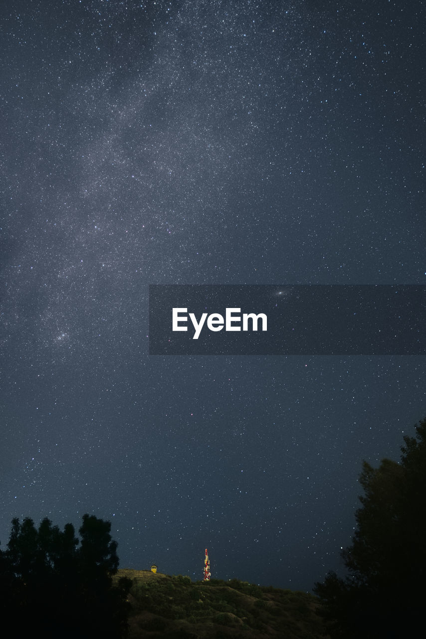 Low angle view of trees against sky at night