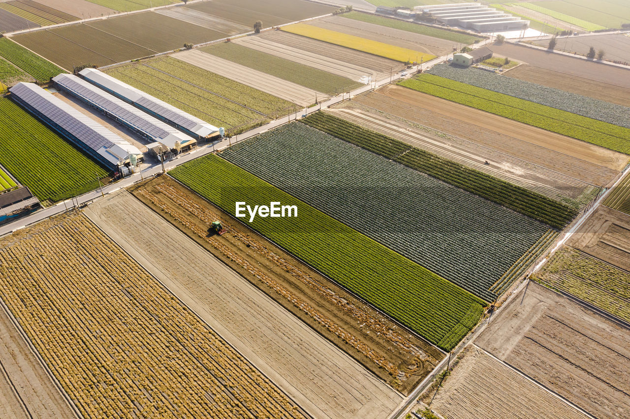 Aerial view of agricultural field