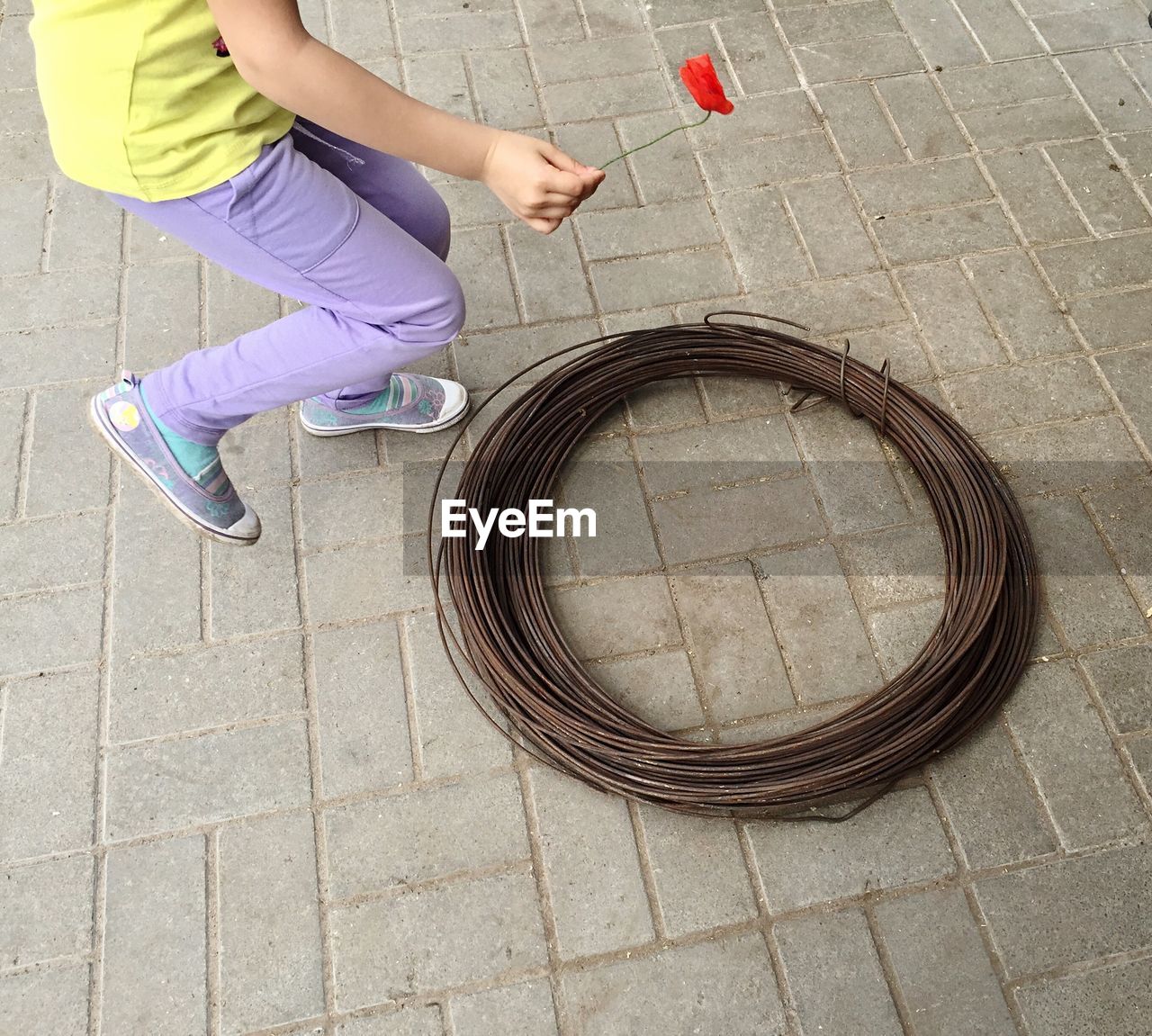 Low section of girl holding flower over coiled wire