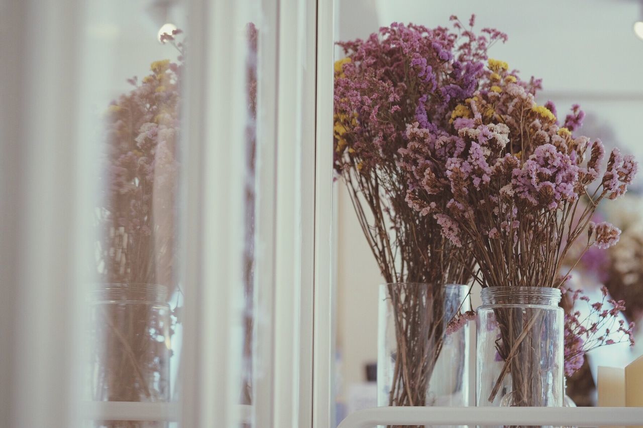 CLOSE-UP OF FLOWER VASE BY WINDOW