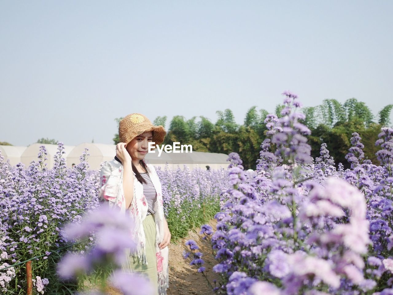 Woman standing on purple flowering plants on field against sky