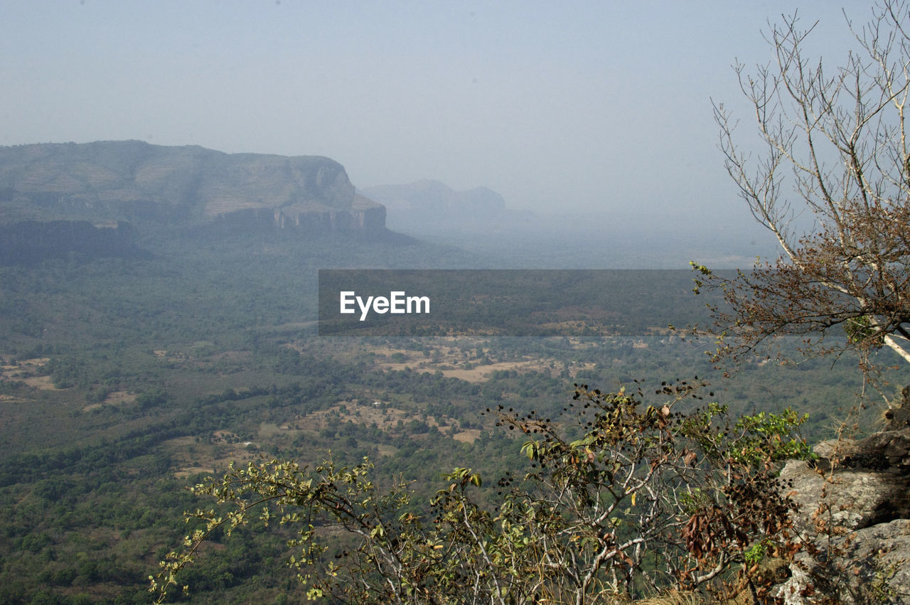 SCENIC VIEW OF TREE MOUNTAINS AGAINST CLEAR SKY