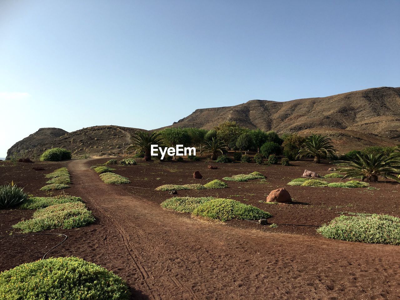 Scenic view of field and mountains against clear sky