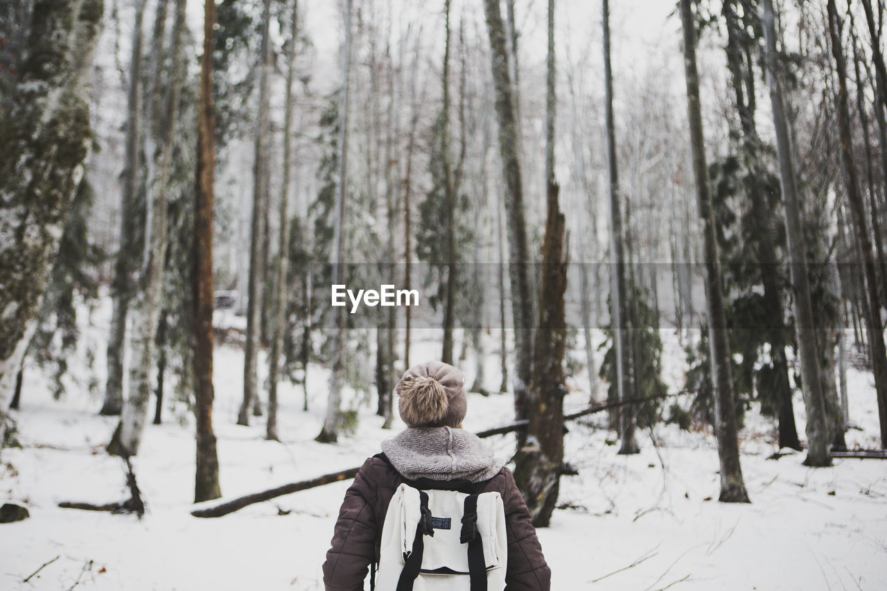 Rear view of person in forest during winter