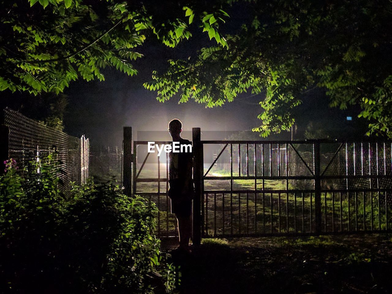 SILHOUETTE MAN STANDING ON RAILING AGAINST TREES AT NIGHT