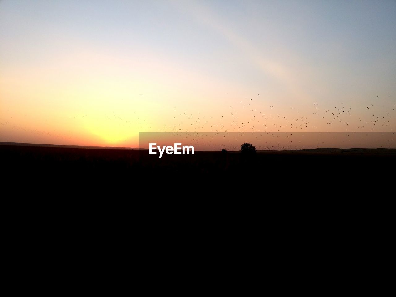 SILHOUETTE OF LANDSCAPE AT SUNSET