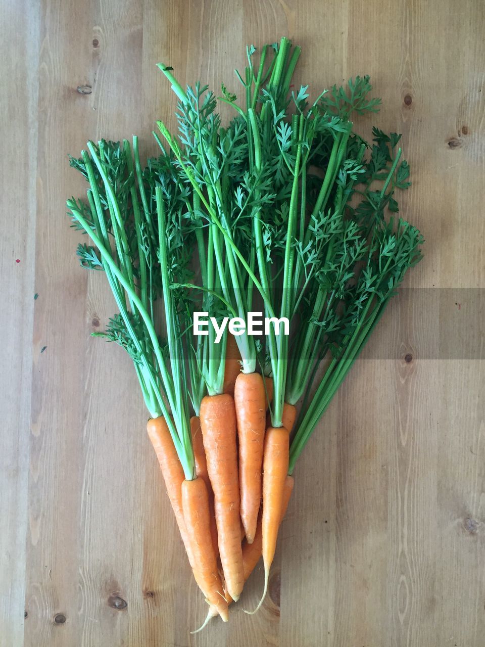 HIGH ANGLE VIEW OF VEGETABLES