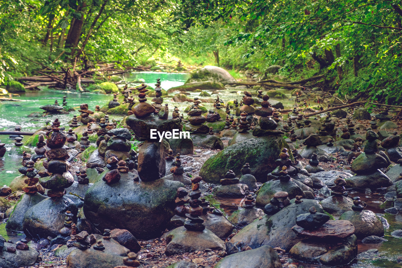 A rocky stream duksta in o leafy forest.