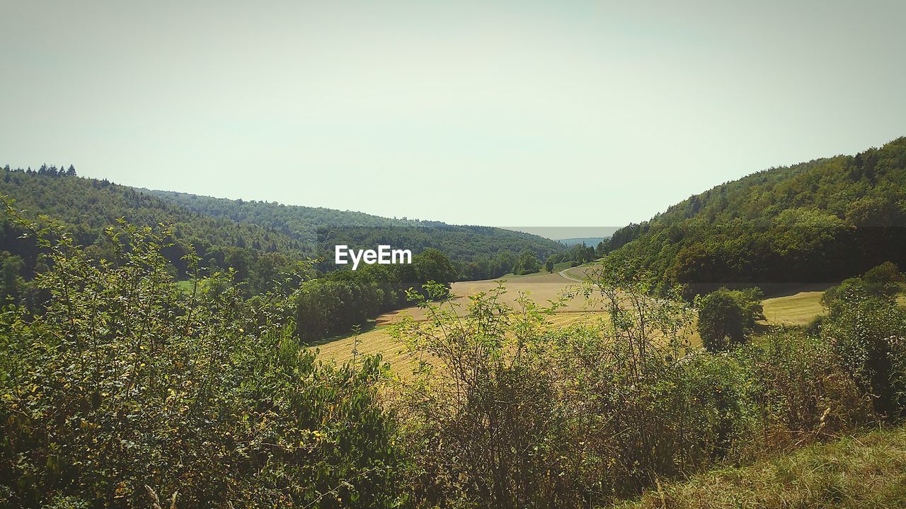 SCENIC VIEW OF MOUNTAINS AGAINST CLEAR SKY