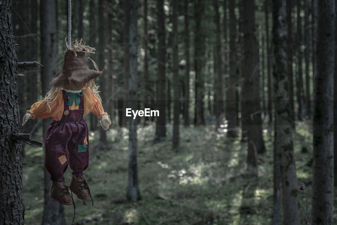 Scarecrow hanging from tree in forest