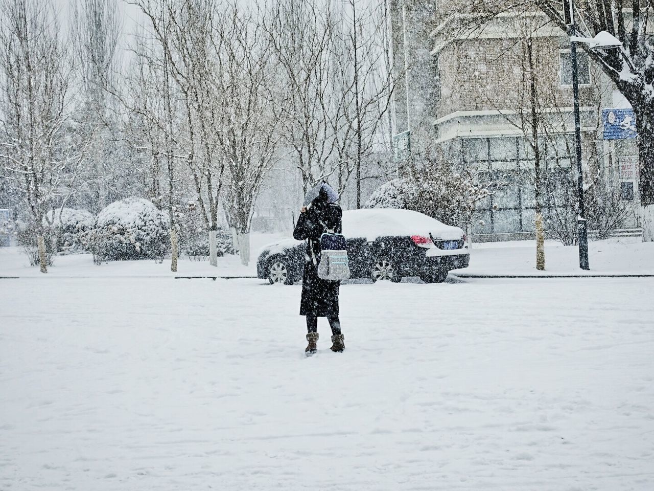 REAR VIEW OF MAN WALKING ON SNOWY FIELD