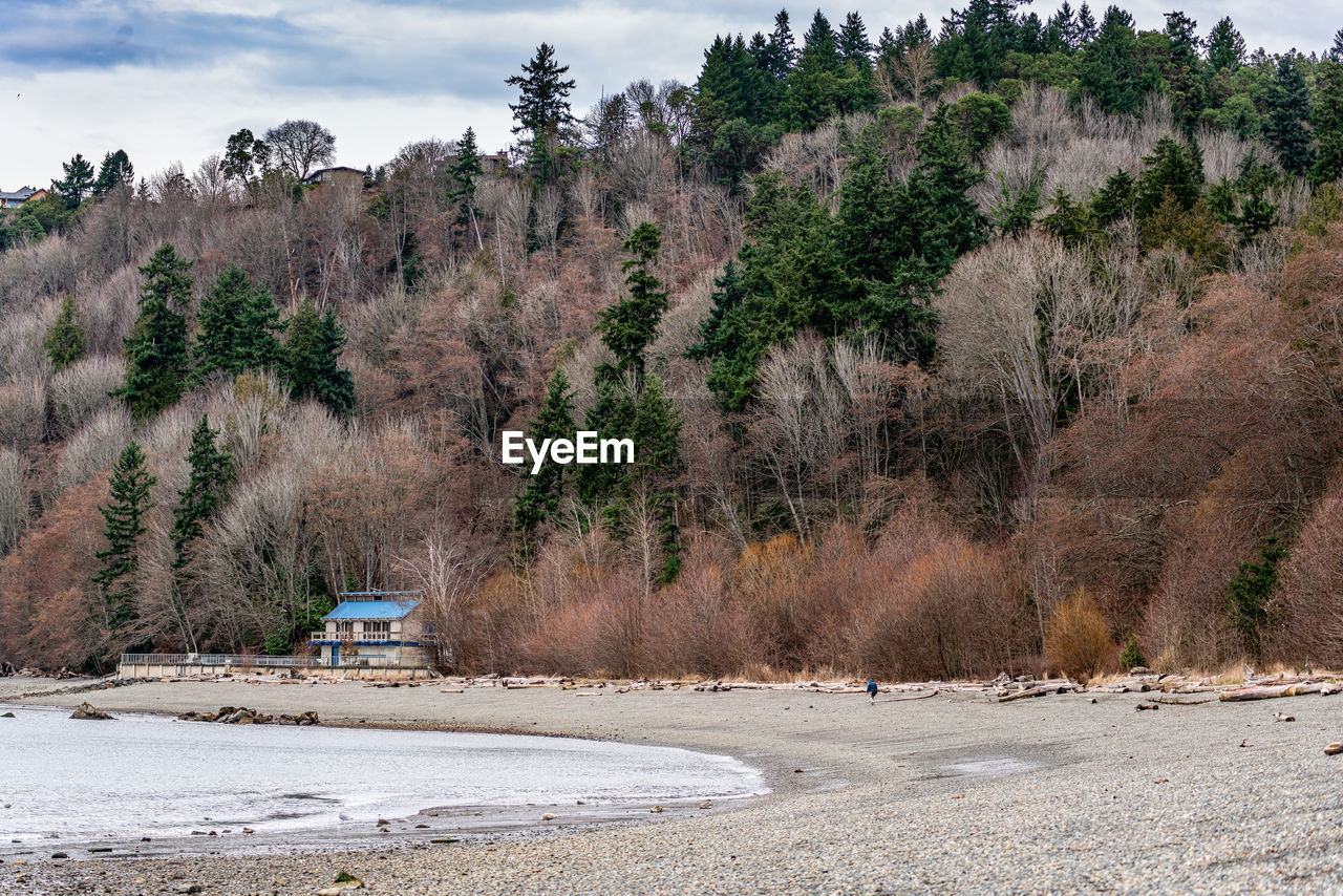 A view of the shoreline at seahurst beach park in burien, washington. it is winter time.