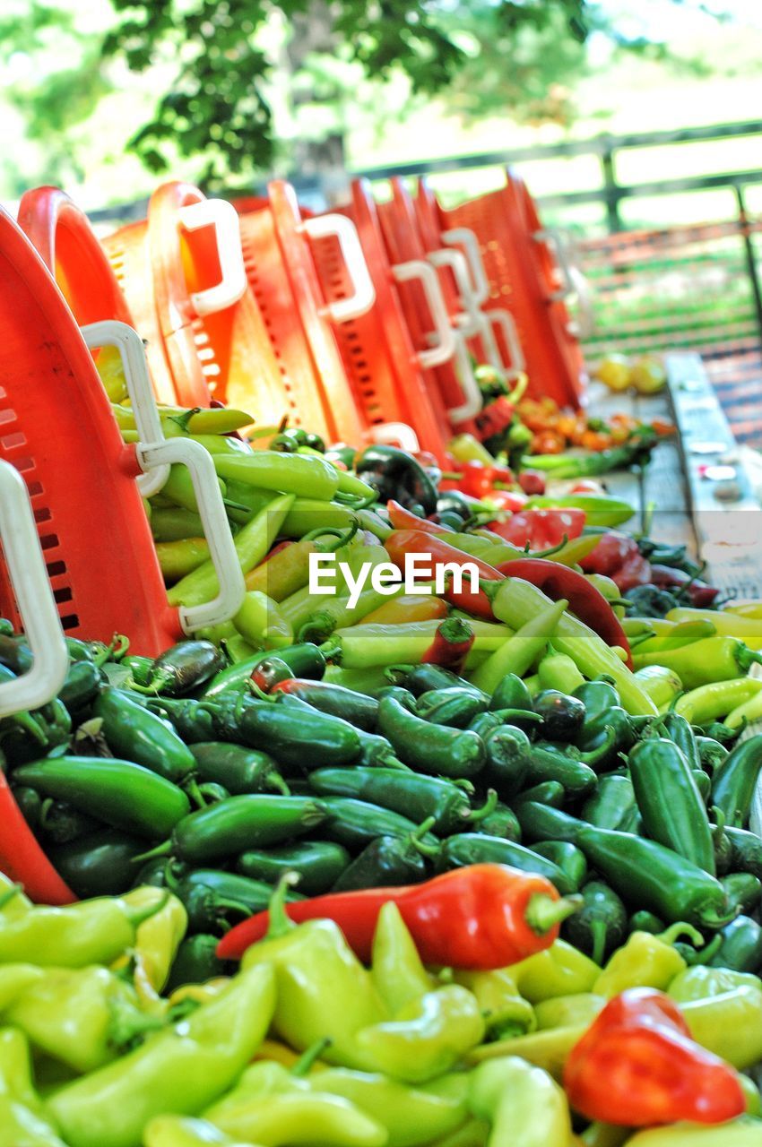 FRESH VEGETABLES FOR SALE IN MARKET