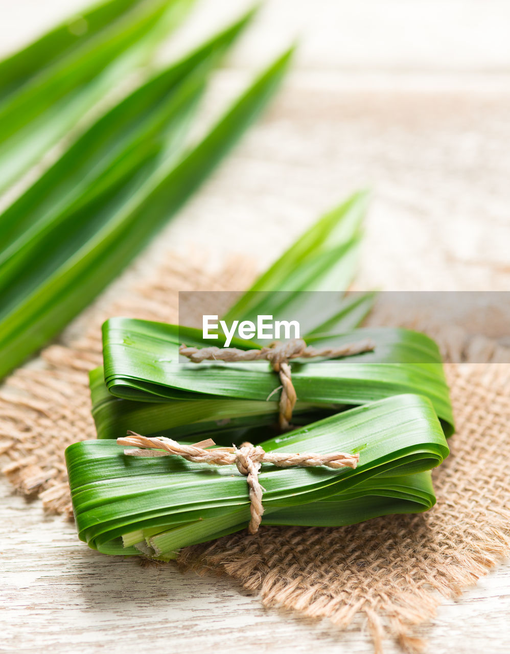 HIGH ANGLE VIEW OF GREEN LEAVES ON WOOD