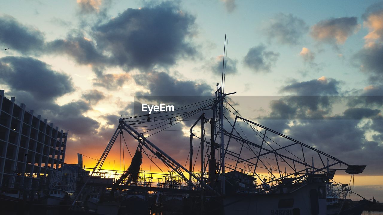 SILHOUETTE OF CRANES AT SUNSET