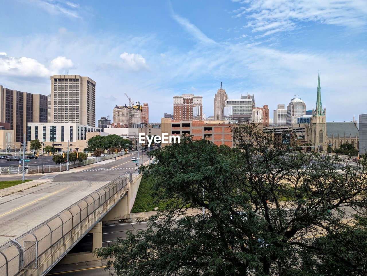 Detroit  skyline with bridge