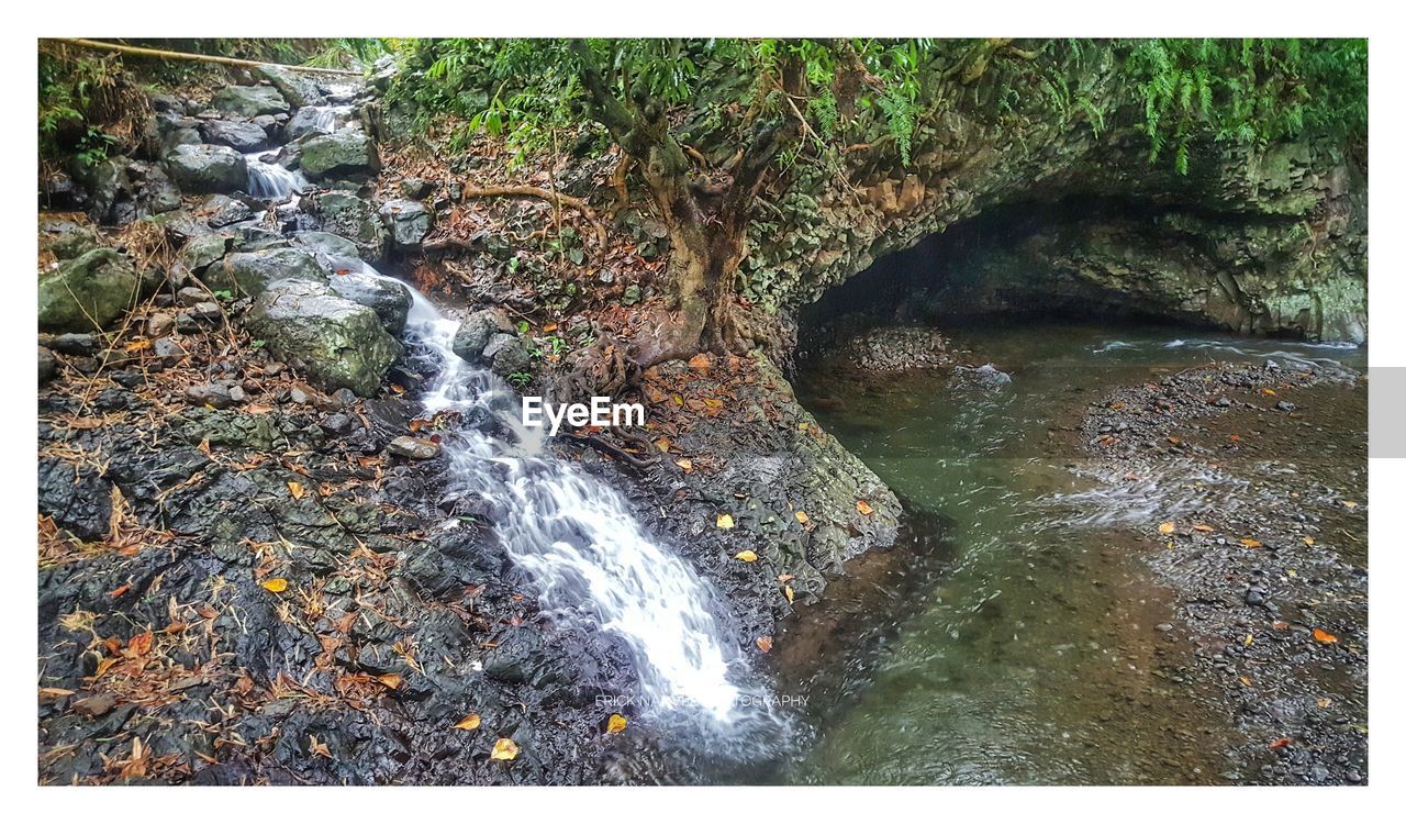 WATER FLOWING THROUGH ROCKS IN FOREST