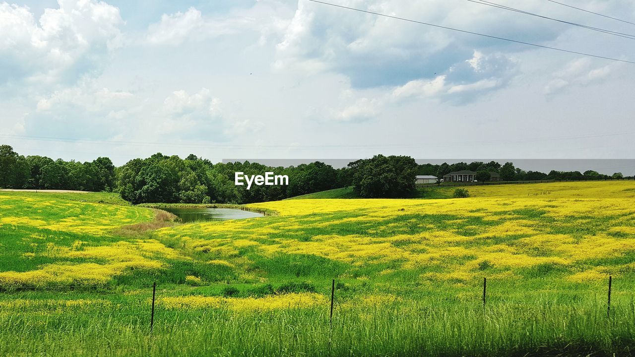 Scenic view of field against cloudy sky