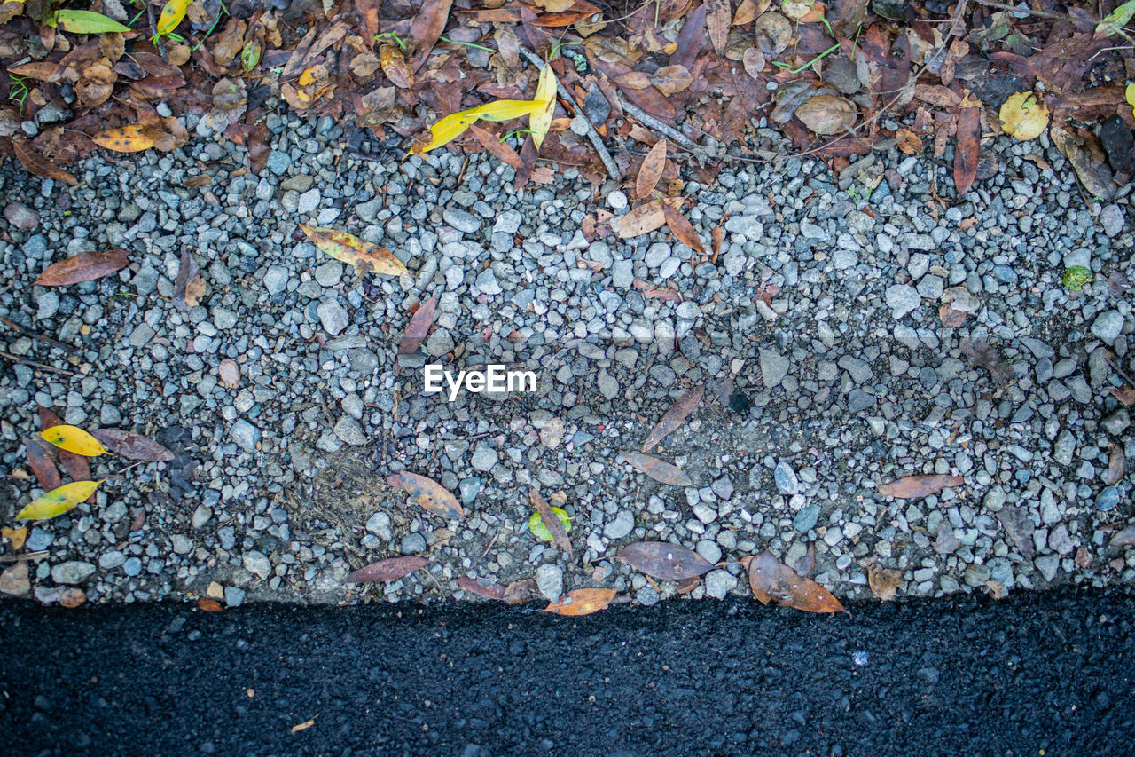 HIGH ANGLE VIEW OF AUTUMN LEAVES ON PEBBLES