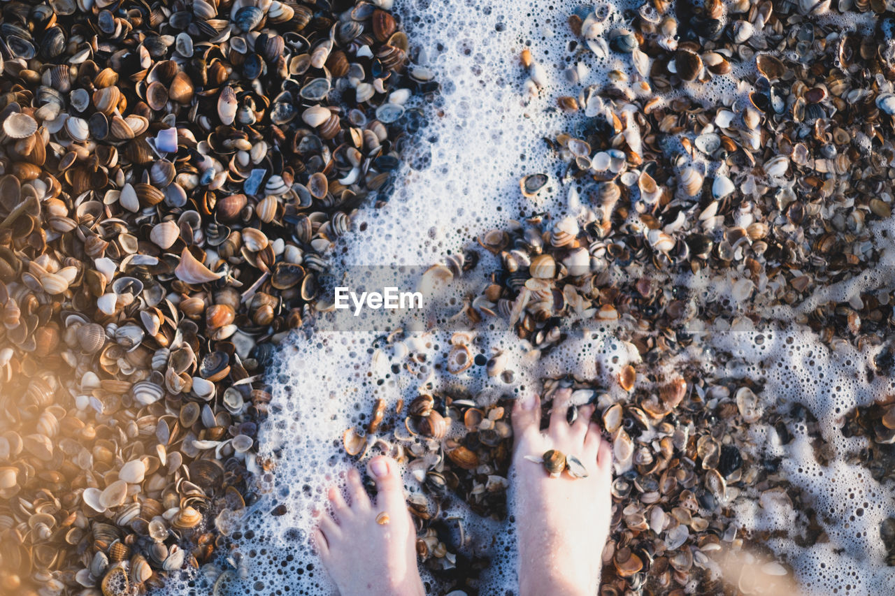High angle view of stones on beach with feet