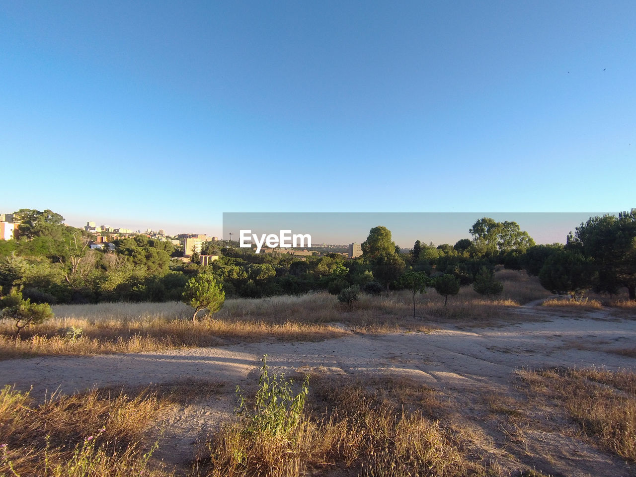 SCENIC VIEW OF LAND AGAINST CLEAR SKY