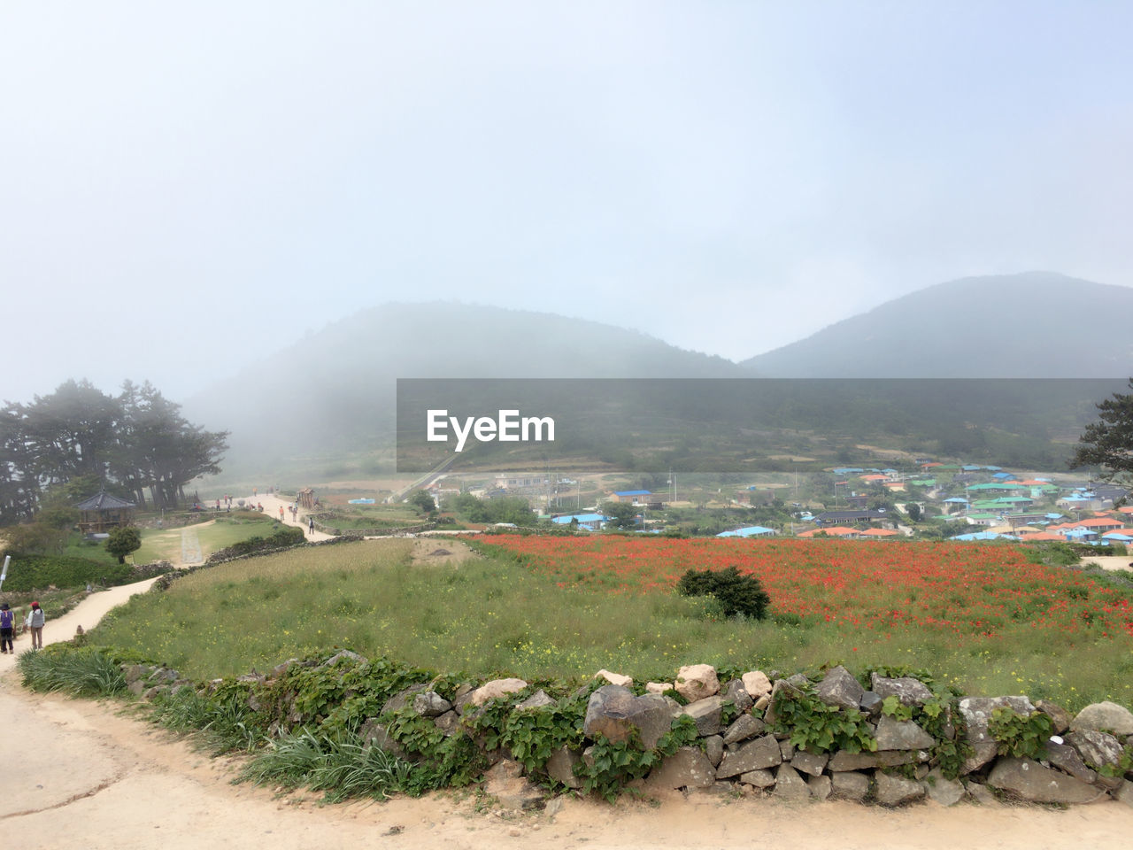 SCENIC VIEW OF LANDSCAPE AGAINST SKY DURING FOGGY WEATHER